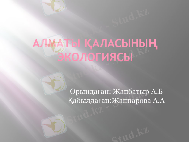 Slide 1