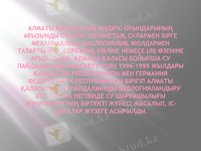 Slide 11