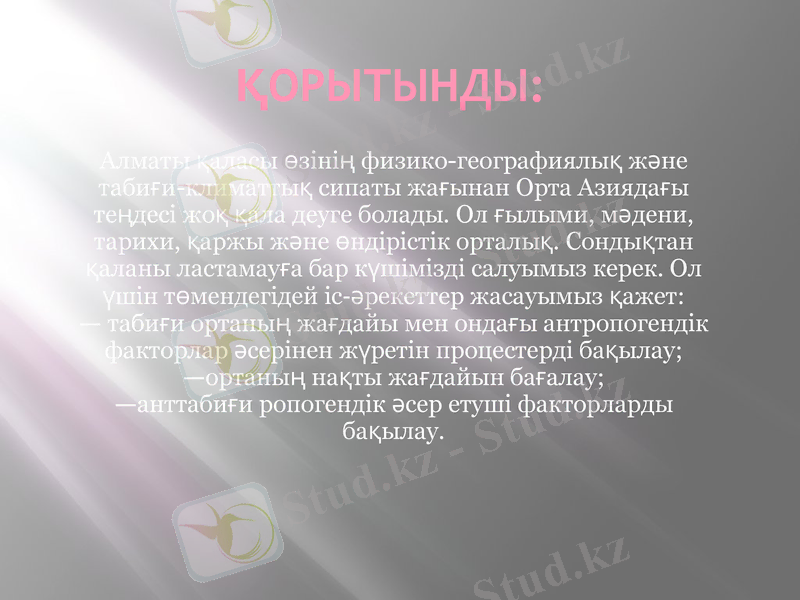 Slide 13