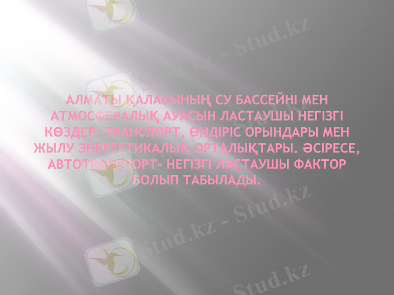 Slide 7