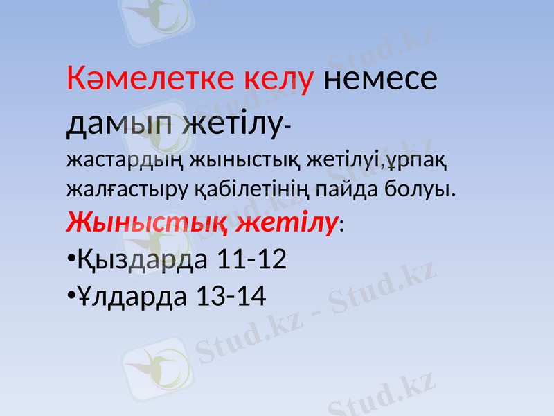 Slide 6