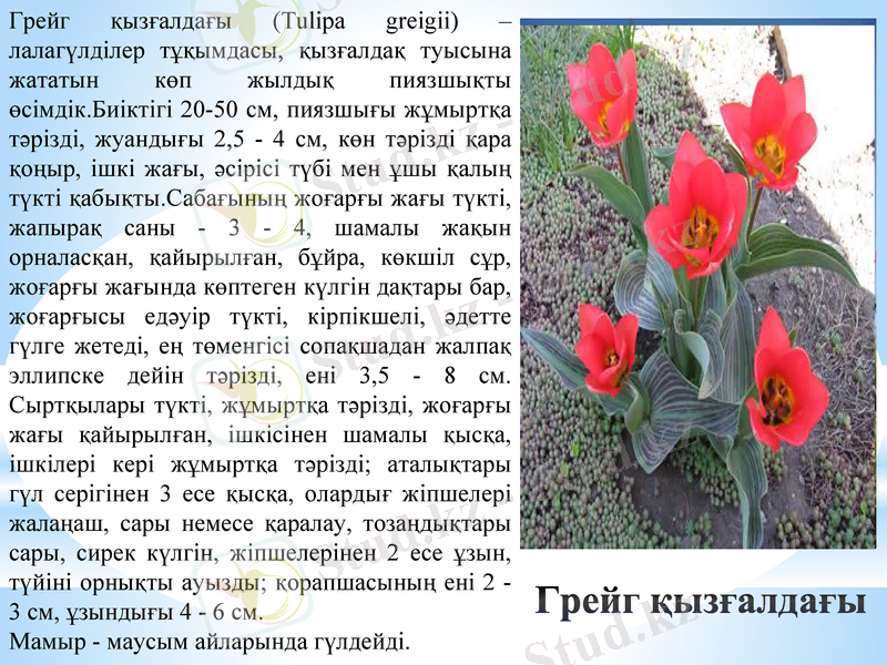 Slide 10