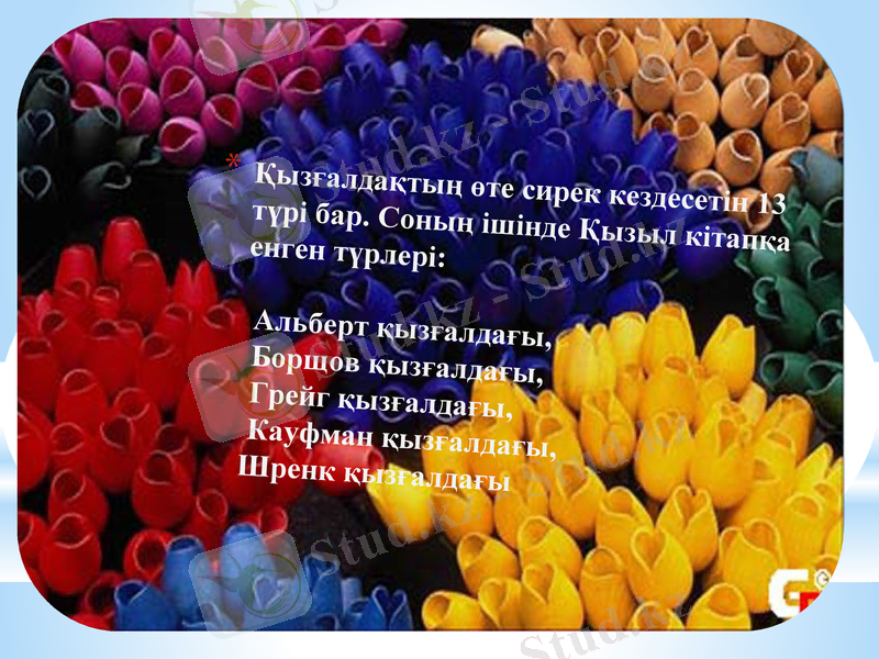 Slide 8