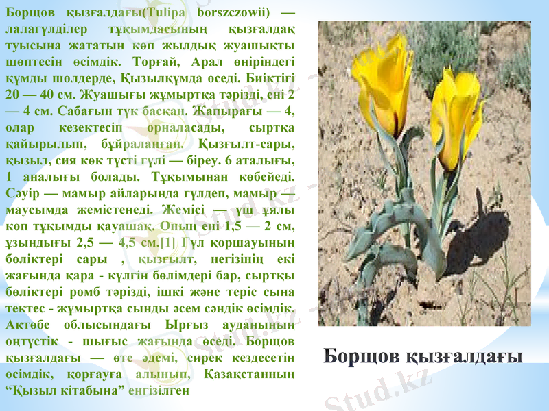 Slide 9