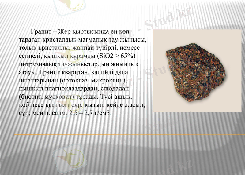 Slide 7