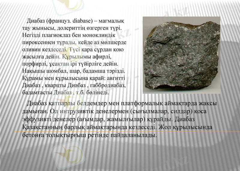 Slide 8