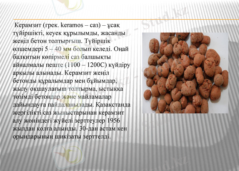 Slide 9