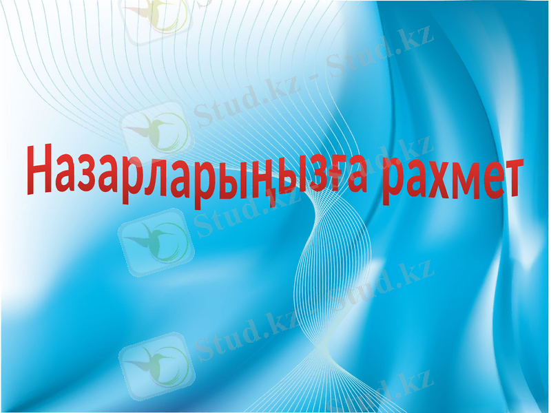 Slide 11
