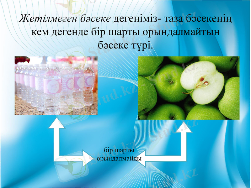 Slide 6