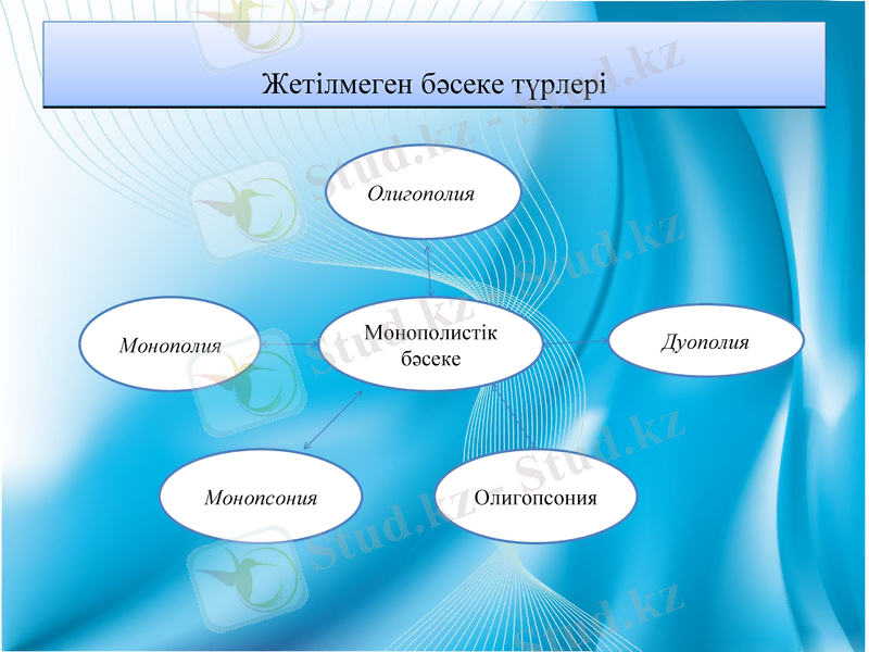 Slide 7