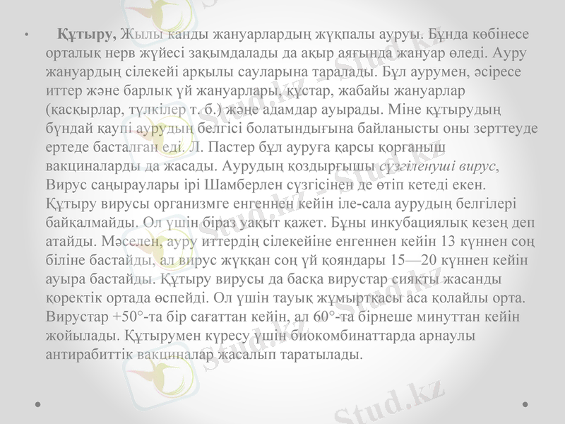 Slide 11