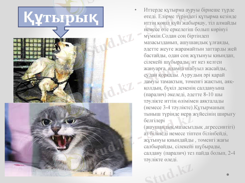 Slide 12