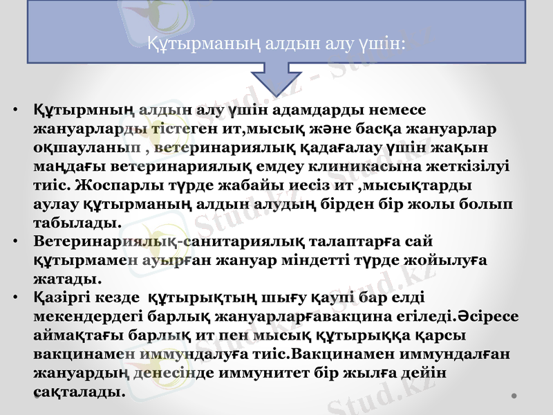 Slide 13