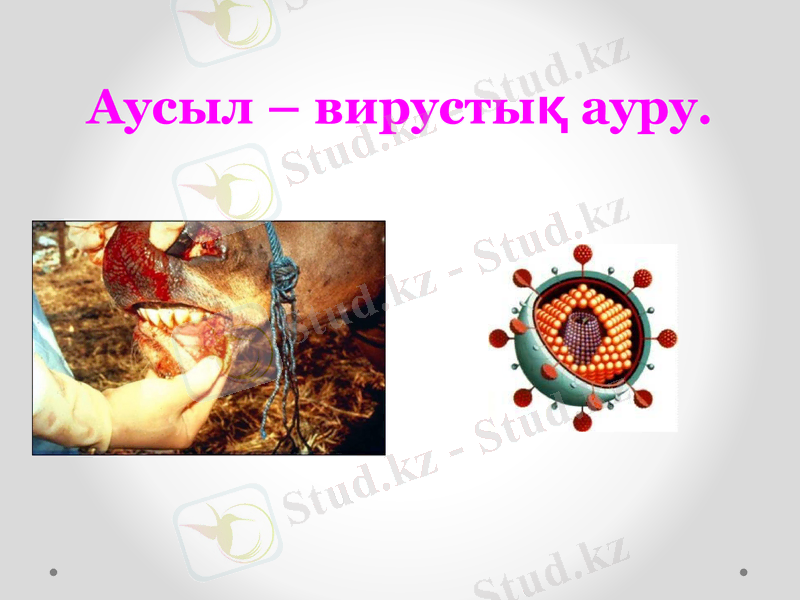Slide 14