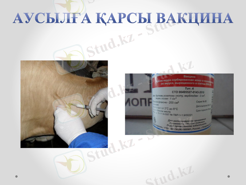 Slide 16