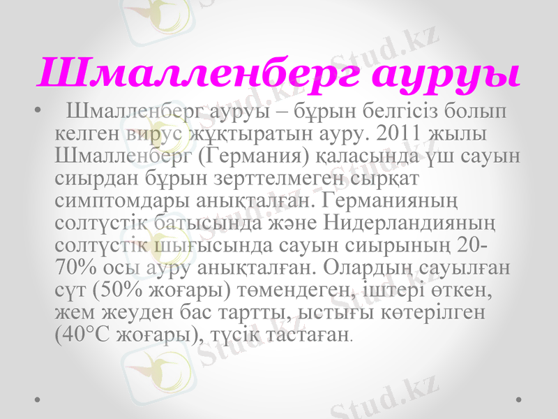 Slide 18