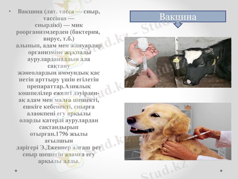 Slide 7