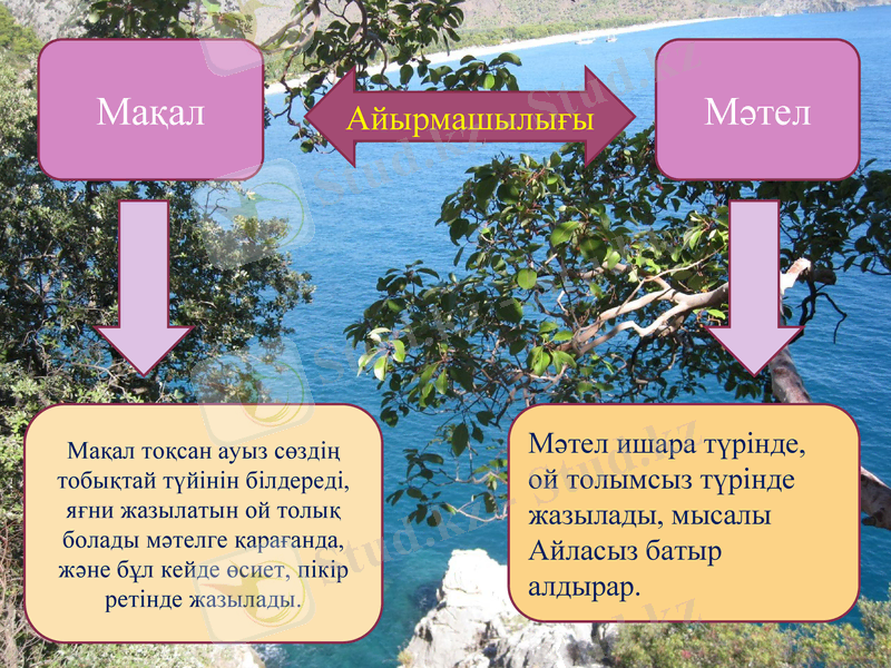 Slide 9