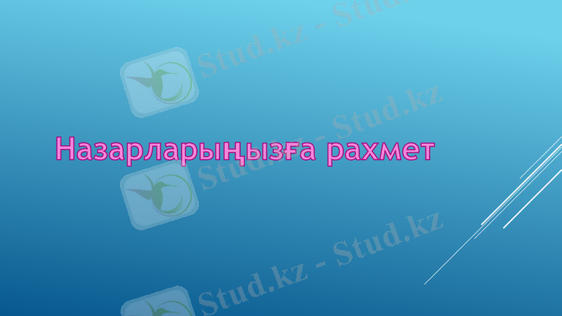 Slide 11