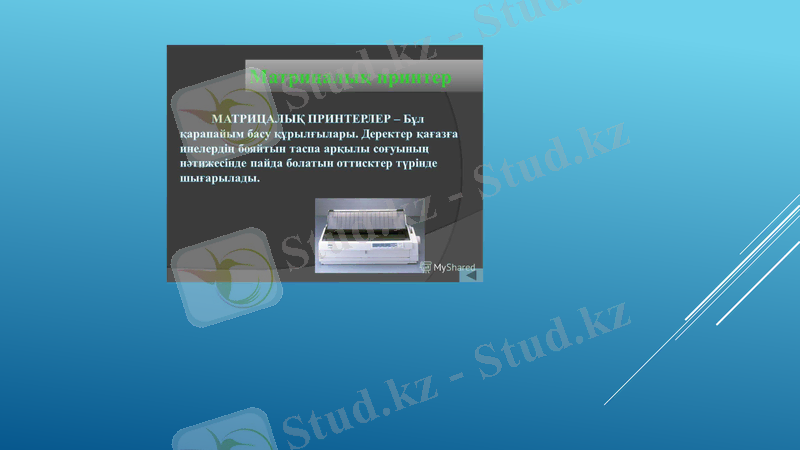 Slide 7