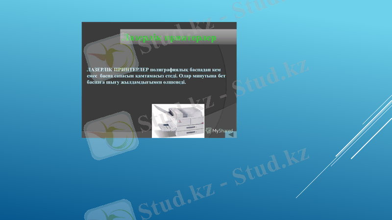 Slide 8