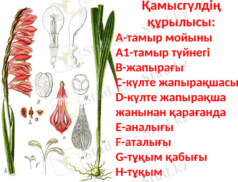 Slide 5