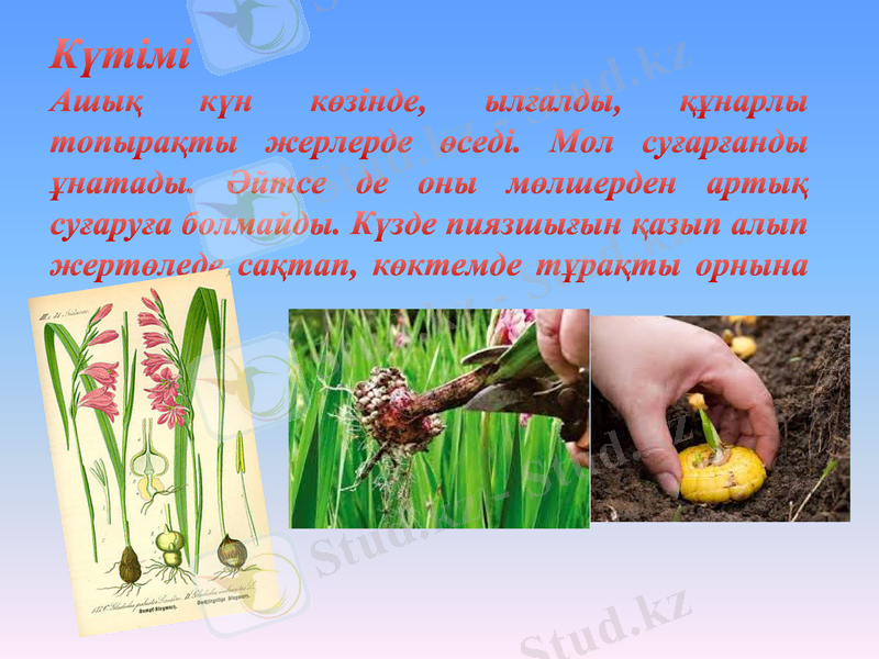 Slide 6