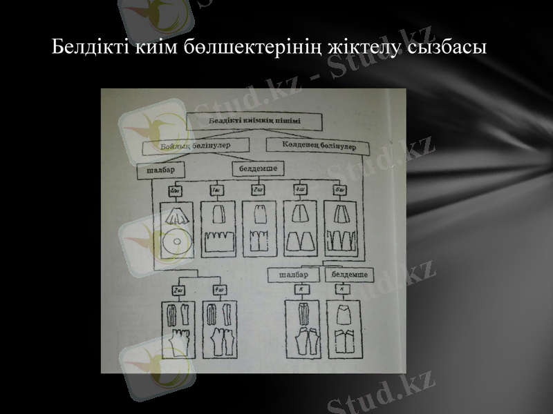 Slide 5