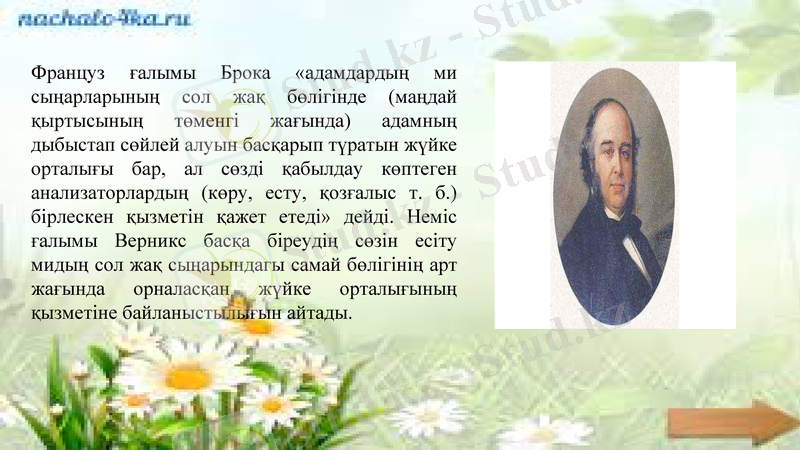 Slide 11