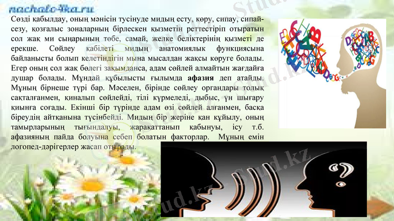 Slide 12