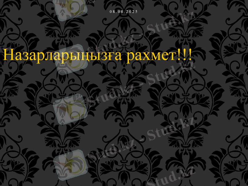Slide 11