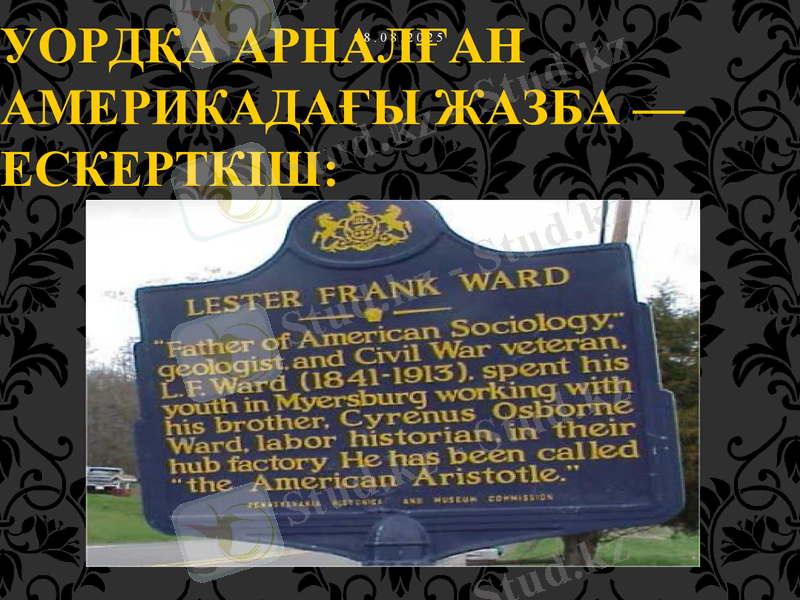 Slide 7