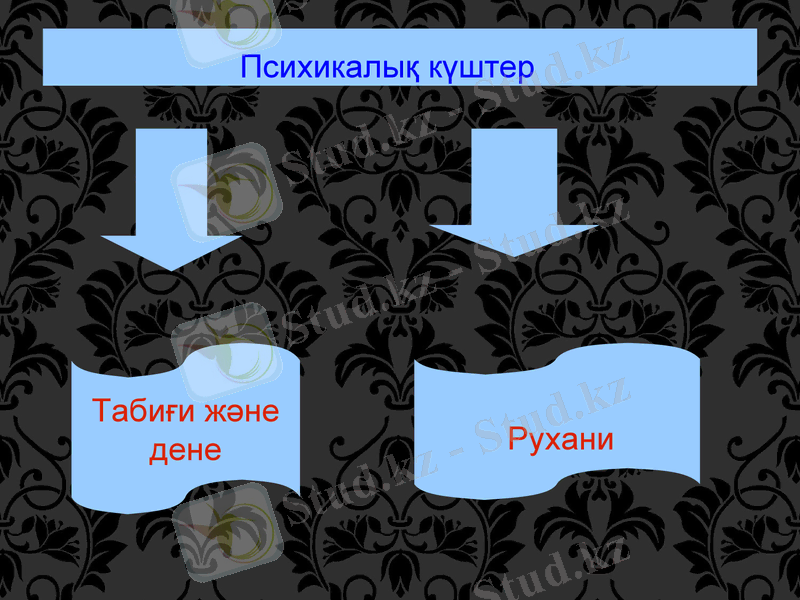 Slide 8