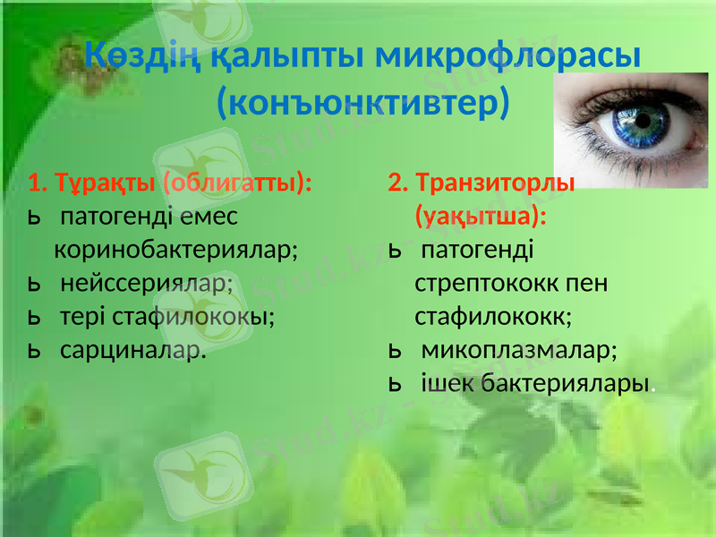 Slide 10