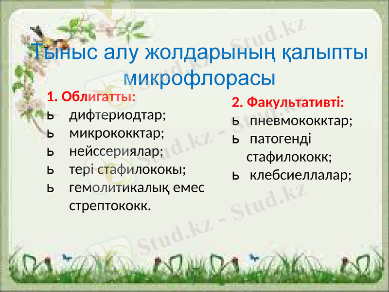 Slide 11