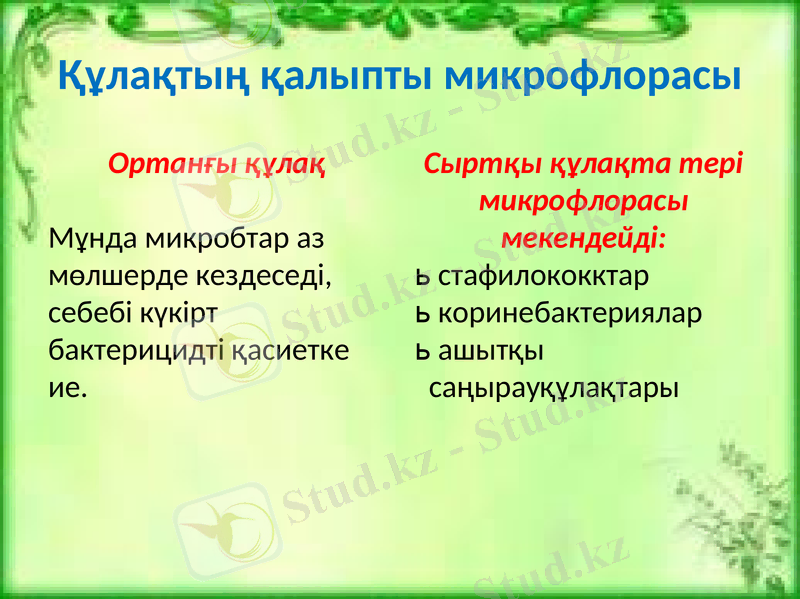 Slide 12