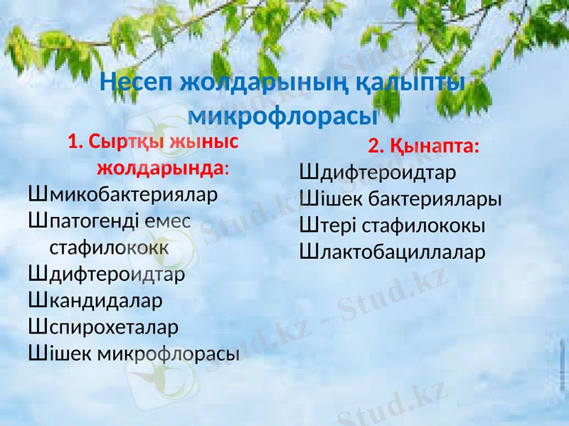Slide 13