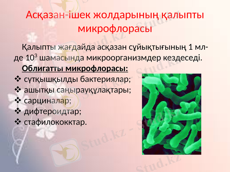 Slide 16