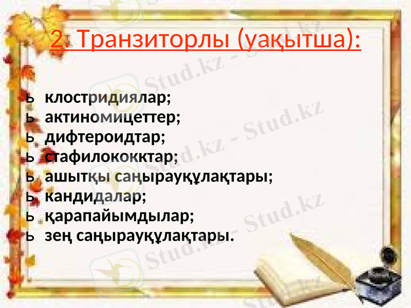 Slide 19