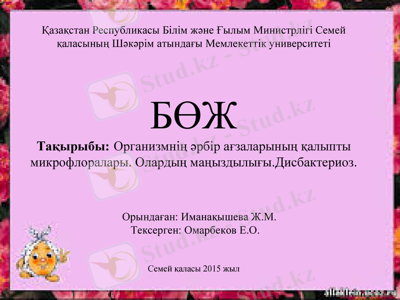 Slide 2