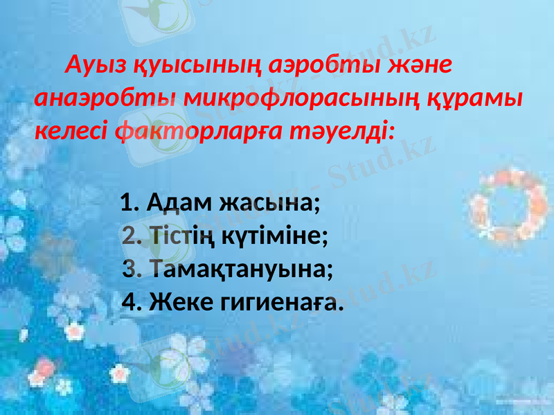 Slide 24