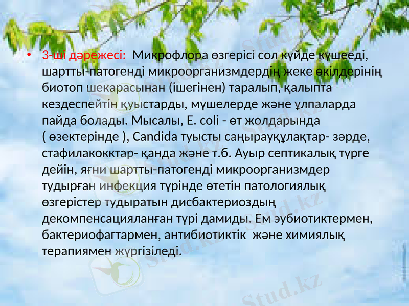 Slide 30