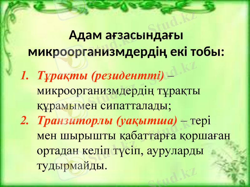 Slide 5