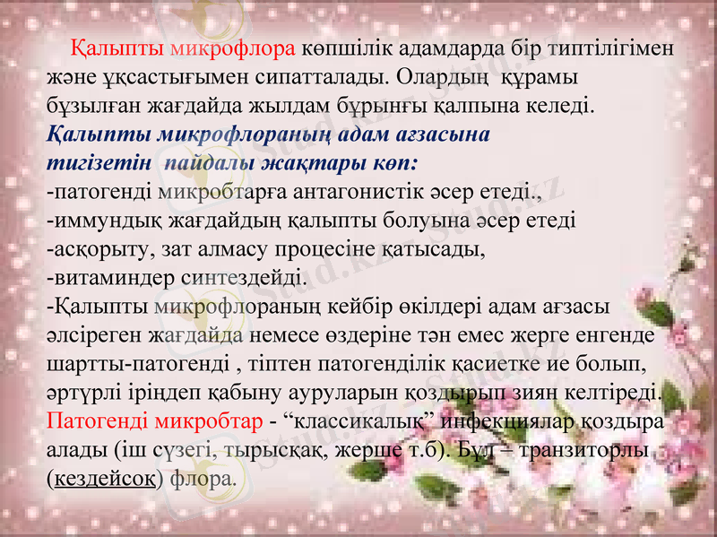 Slide 6