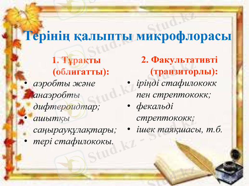 Slide 8