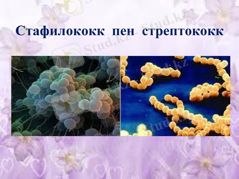 Slide 9