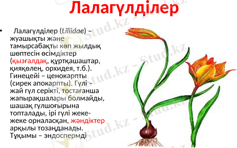 Slide 11