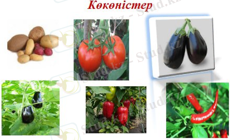 Slide 13