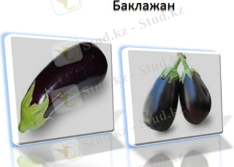 Slide 14