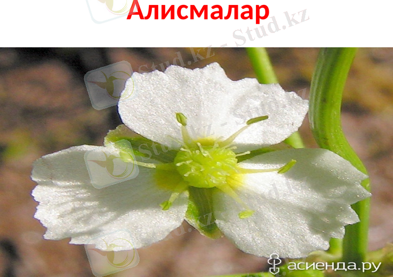 Slide 5
